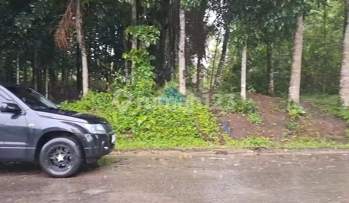 Jual Tanah Industri 4ha Dekat Tol Cileles Lebak Banten