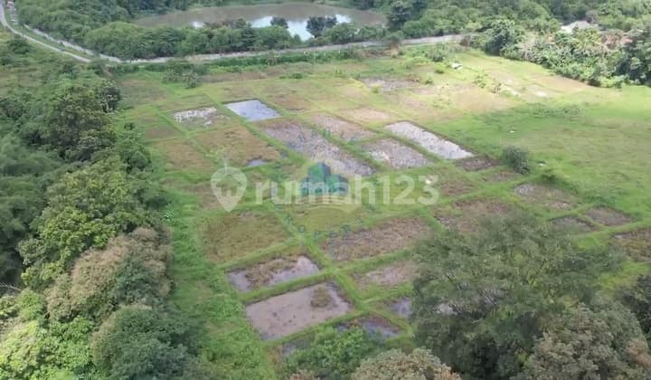 Tanah Dijual 4,7.hektar Shm Di Jl Kopo Maja Desa Gabus Serang