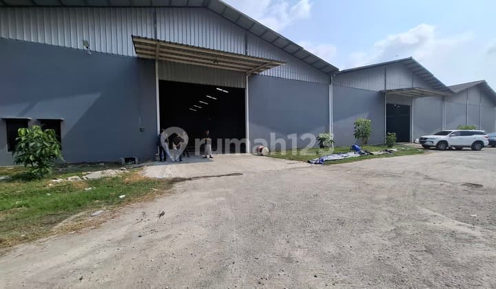 Gudang Disewakan Di Jl Raya Bojonegara Serang Tol Cilegon Timur