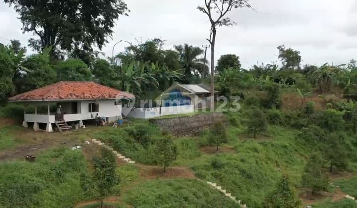 Jual Kebun Durian 4,7ha Jl Raya Jasinga Bogor Jawa Barat