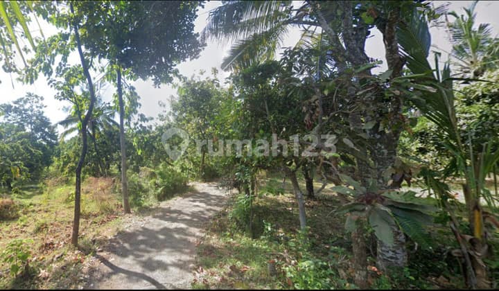 Dijual Tanah Desa Depehe Singaraja Bali