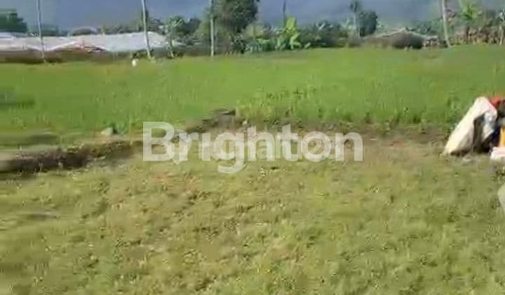 Puncak Bogor Dekat Kota Bunga