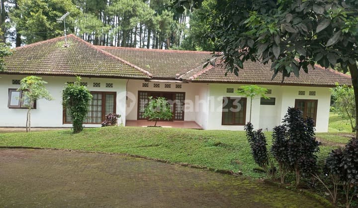 Villa Tapos Luas Sejuk dan Asri Rumah Bagus SHM