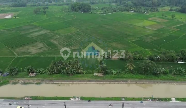 Land for Sale, Affordable and Suitable for Housing in Cijeruk - Serang. 800M to Pt Nikomas!