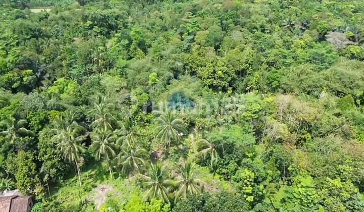 Dijual Tanah 50Ha Zona Industri Cibadak - Akses Kontainer, Dekat Tol Rangkasbitung!