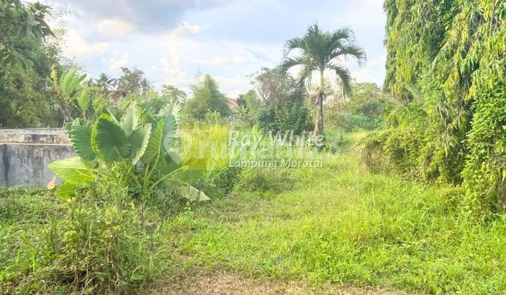 Dijual Tanah Bonus Bangunan