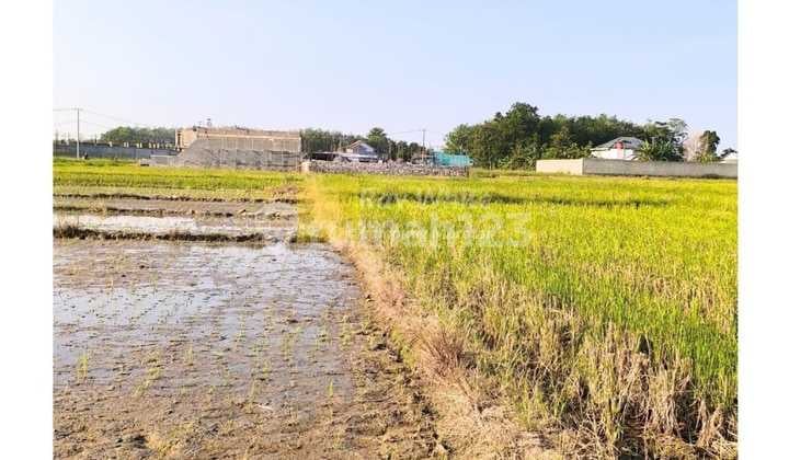 Tanah Dijual Jati Mulyo