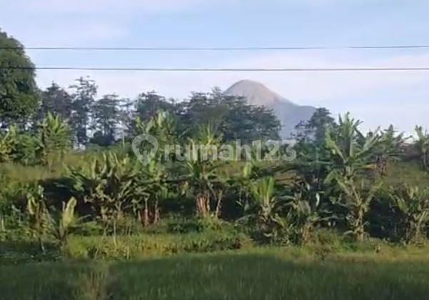 Tanah di jual di depan finna golf jl raya prigen