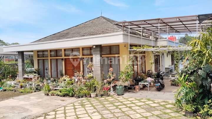 Jual Rumah Asri Tanah Luas Dekat Kampus Upi Setiabudi Bandung