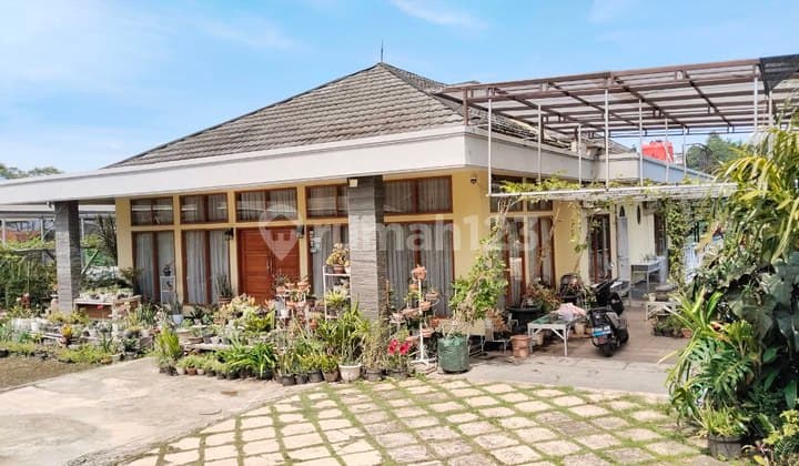 Dijual Rumah Asri Mainroad Ciumbuleuit Kota Bandung