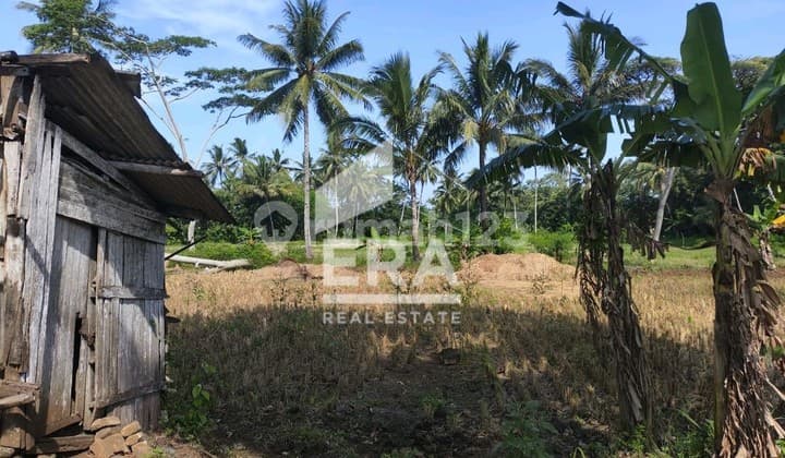 Dijual Tanah Di Surade, Sukabumi