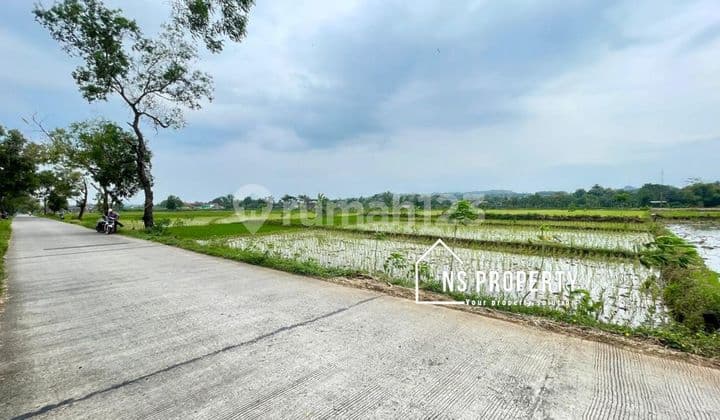 Cheap land Simo Boyolali near Simo market.
