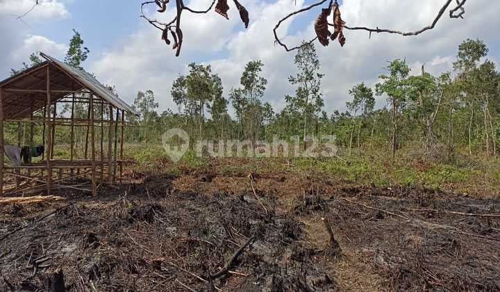 Dijual Tanah Di Sematang Borang Palembang