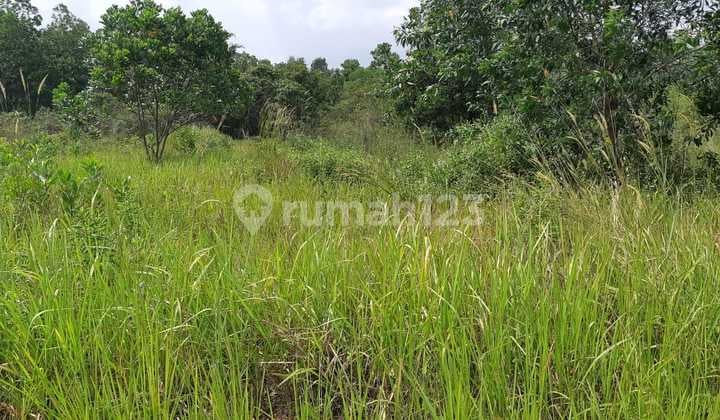 Dijual Tanah Kosong Di Jl Meritai Kab Banyuasin Jakabaring Palembang