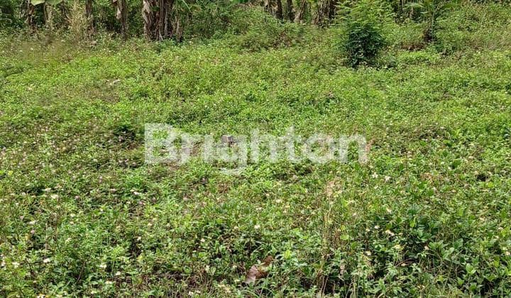 DIJUAL TANAH STRATEGIS JAUH DR PEMUKIMAN