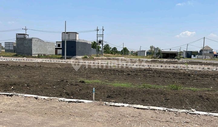 Land Plot Adjacent to Suroboyo