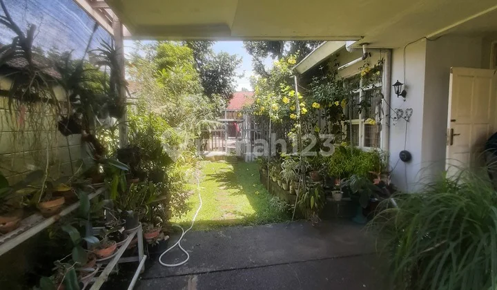 Disewa Rumah Vintage Lokasi Strategis Pakuan Bogor