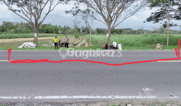 LAND PLOT 5000 METERS