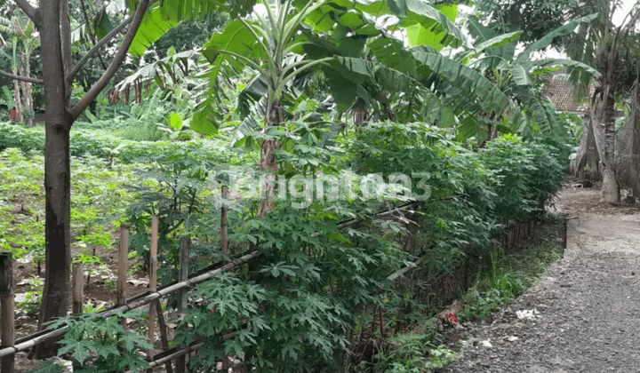 TANAH STRATEGIS KALIBARU CILODONG DEPOK LOKASI PREMIUM SIAP BANGUN