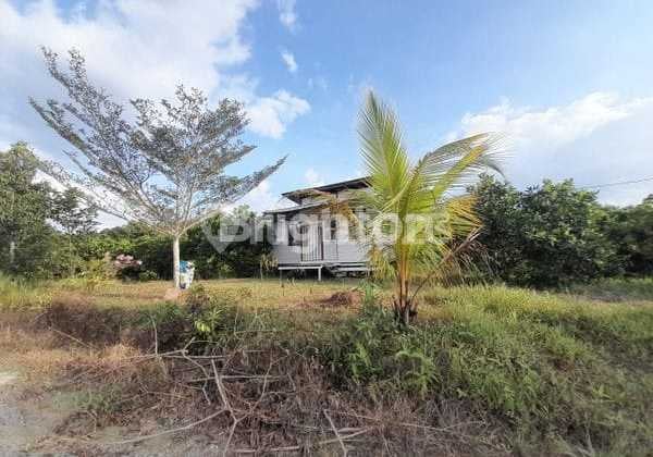 Strategic Land for Sale, Roadside in Kariangau Industrial Area.