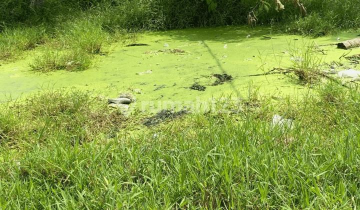 Di Jual Cepat Tanah Rata Cocok Untuk Bangun Rumah, Kost2 An Dan Cluster Di Desa Babelan Kota