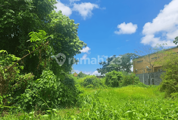 Anah Premium in Gunung Catur, West Denpasar, Partial Payment Available.