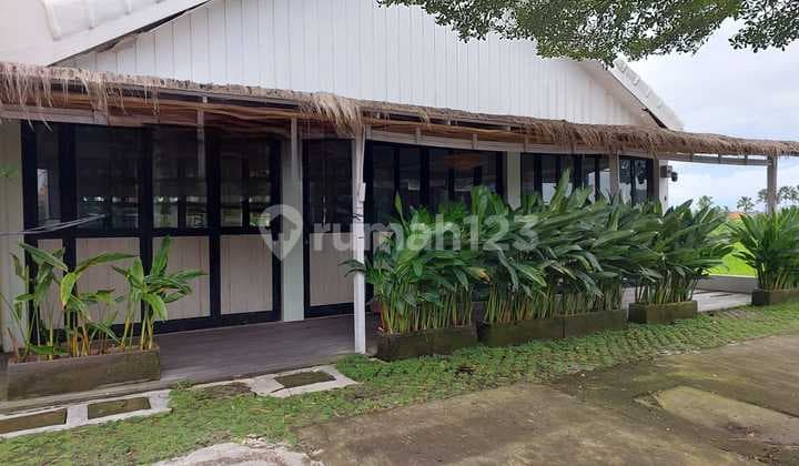 Toko Strategis Siap Pakai di Jalan Babadan Pererenan