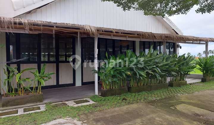 Toko Strategis Siap Pakai di Jalan Babadan Pererenan