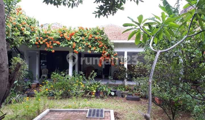 Jual Rumah Second Luas 587 di Kemang Bebas Banjir Jakarta Selatan