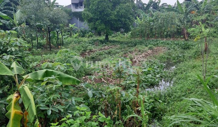 Jual Tanah Kavling 1000m2 di Pondok Aren, Bintaro, Tangerang Selatan