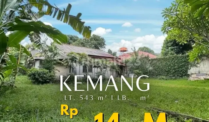 Tanah Strategis untuk Usaha di Pinggir Jalan Kemang Jakarta