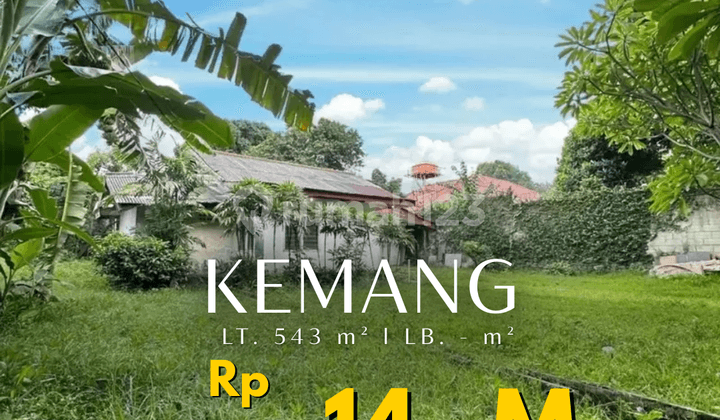 Rumah Tua Hitung Tanah Lokasi Strategis di Kemang Jakarta Selatan