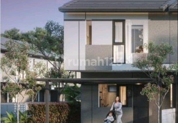 Xyz Tanjung Bunga Di Cluster Blossom