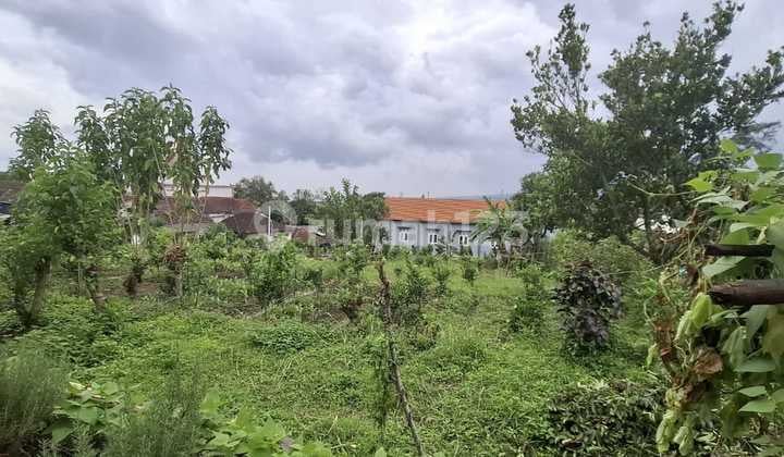 Dijual Cepat Tanah Strategis di Kawasan Wisata Batu Jawa Timur Cocok untuk Villa