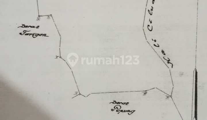 Dijual Tanah Luas Di Daerah Sukaraja Bogor Bagus Untuk Perumahan/apartemen