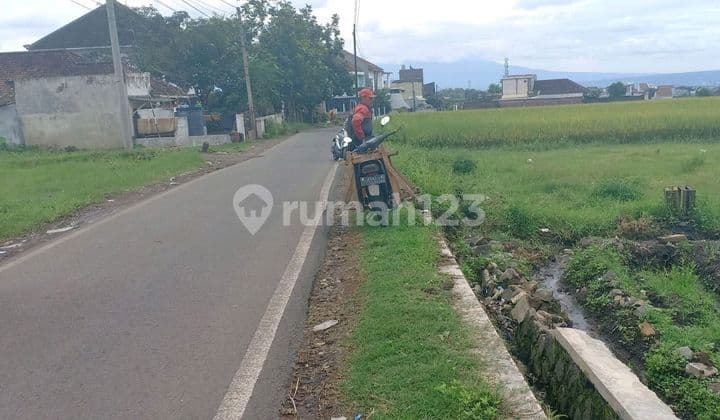 Tepi Jalan Alternatif Tanah Pendem Junrejo Kota Batu