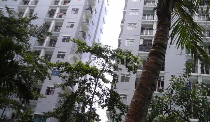 Apartemen Murah Dan Lokasi Strategis Di Apartemen Paragon Dikatawaci Tangerang