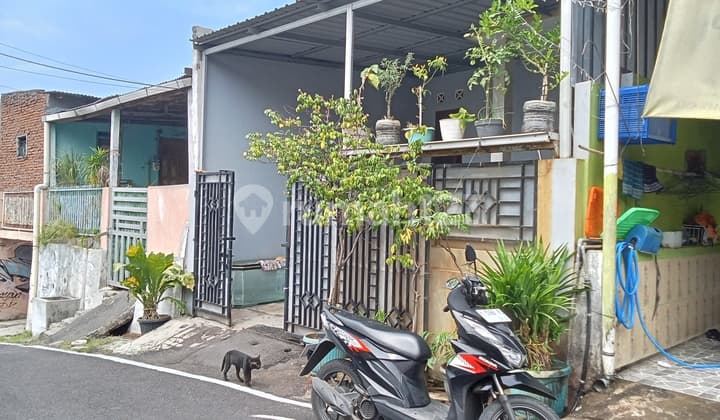 Di Tengah Di Tgh Kota 550jt Kok Masih Bisa Nego