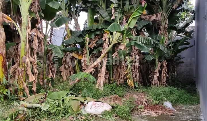 Tanah Kavling Cocok Untuk Rumah Tinggal atau Kosan di Pondok Jaya