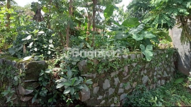 TANAH DI DESA PONGANGAN - GUNUNG PATI