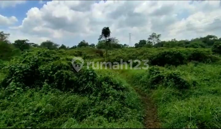 Tanah Kavling di Tigaraksa Dekat Kawasan Industri Millenium, Tangerang