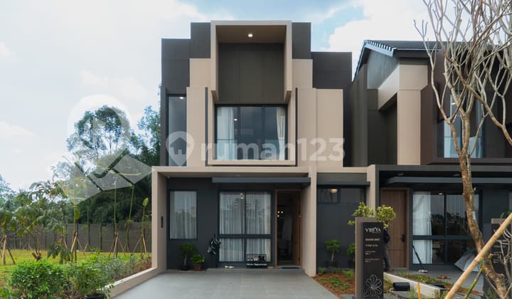 Vireya BSD Lynelle Type 7X4