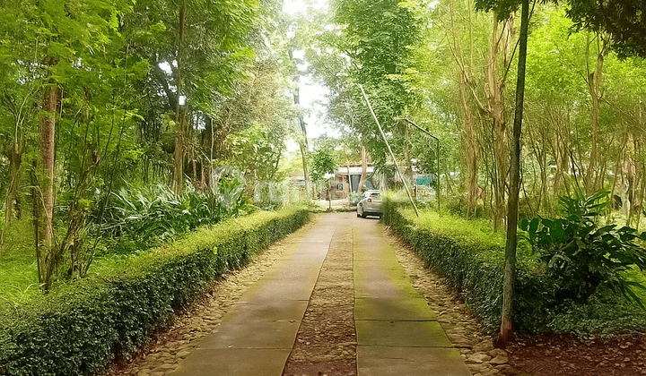 Villa Joglo Dengan Tanah Luas di Ambarawa SHM 7184.0 m²