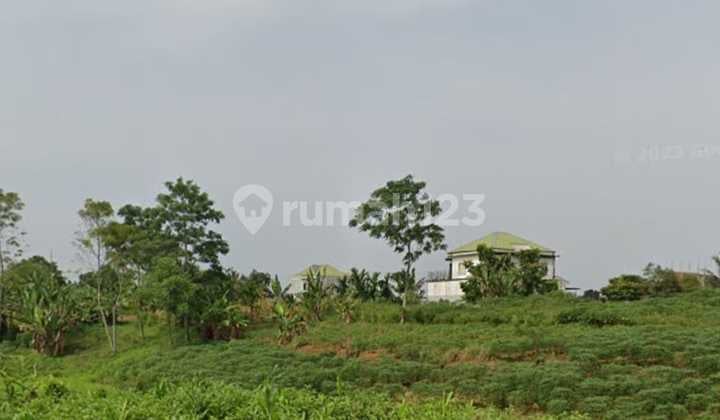 Dijual Tanah di Kelurahan Baru Ladang Bambu Tuntungan Medan Sumatera Utara Luas 2 Hektar