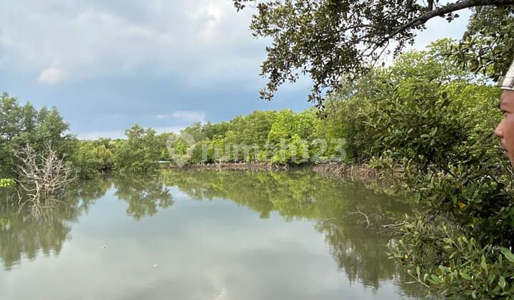 Kariangau Land Balikpapan 20,000 M2
