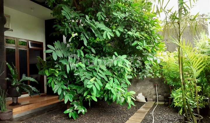 Denpasar Bali House