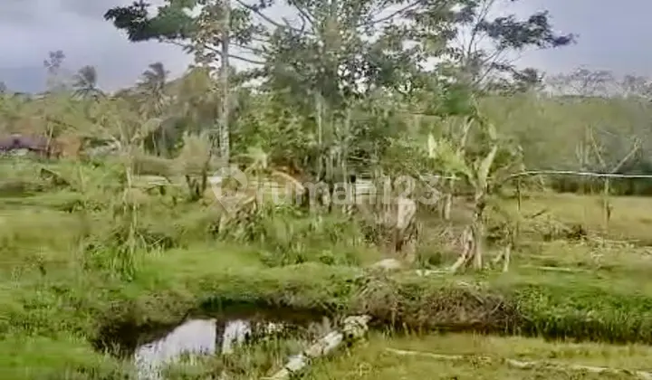 Tanah Premium Pinggir Pantai Tanah