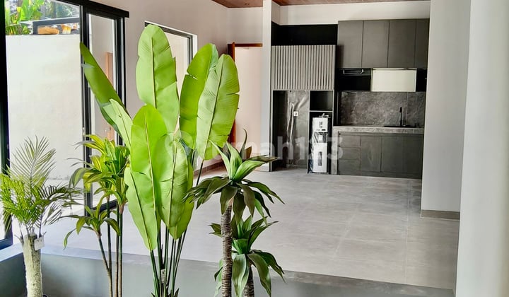 Villa For Rent