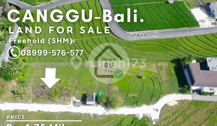 Tanah Langka Di Canggu Bali