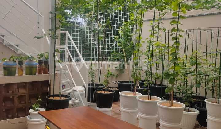Rumah 3 Lantai di Taman Grisenda, Jakarta Utara Furnish Mewah